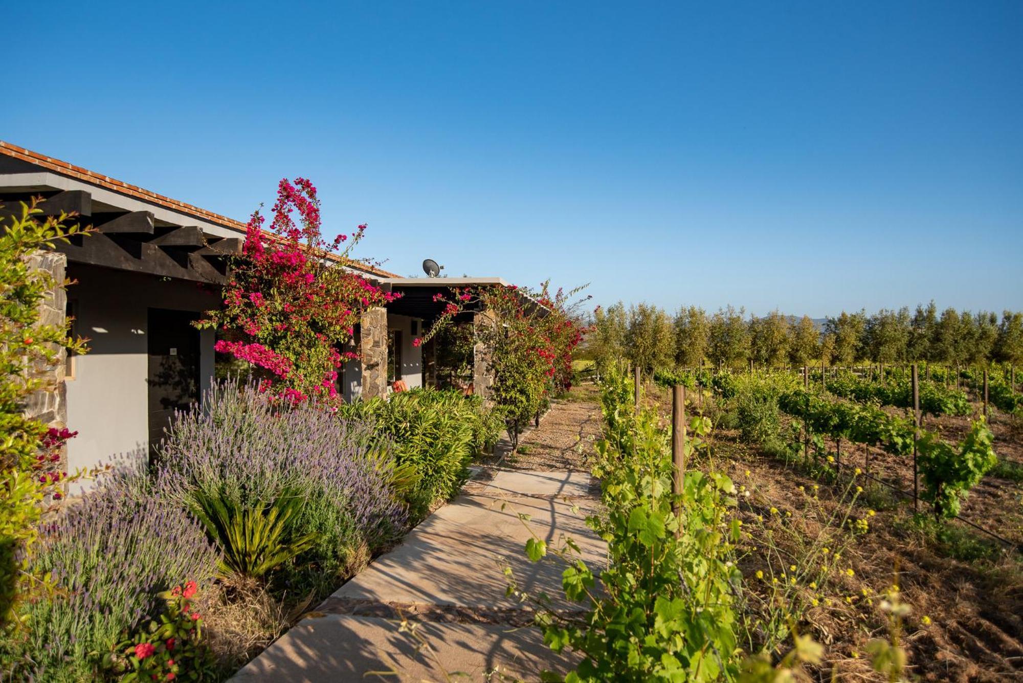 Atika Retreat Hotell Valle de Guadalupe Exteriör bild