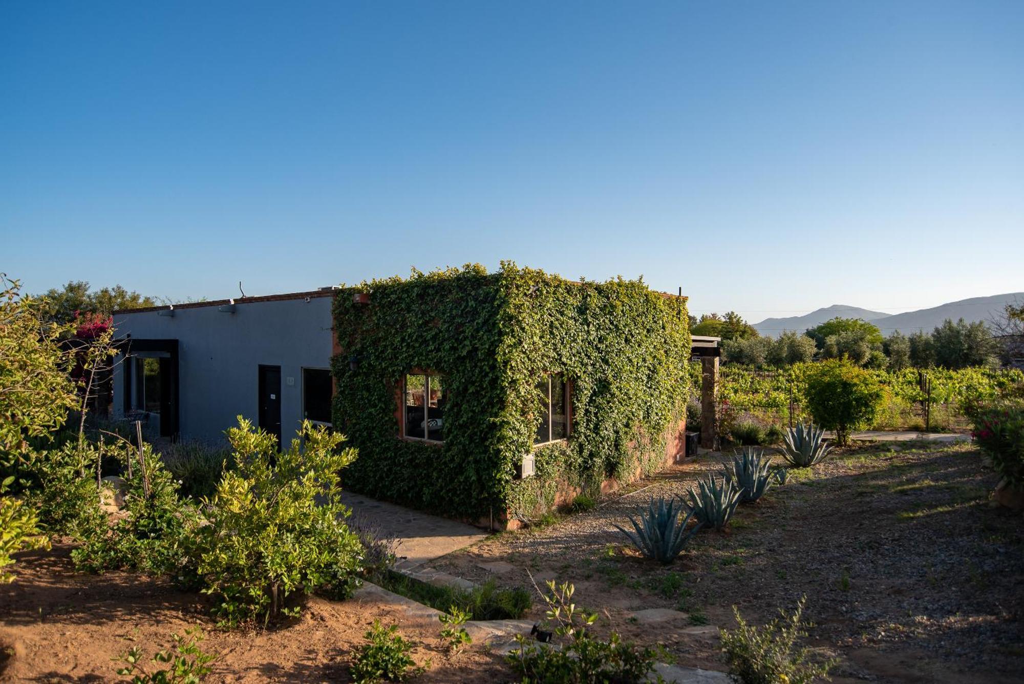 Atika Retreat Hotell Valle de Guadalupe Exteriör bild